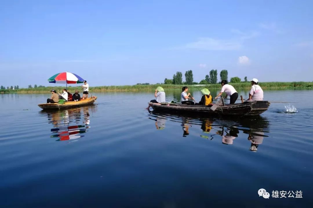保定雄縣振華撒網(wǎng)直播，自然美景探索之旅直播盛宴