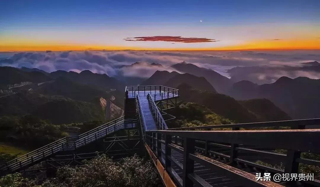 十六大直播，自然美景的心靈之旅啟程時刻