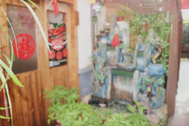 衡水環(huán)保最新動態(tài)，巷弄深處綠意盎然小店背后的環(huán)保奇談