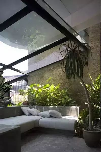 直播花園，小巷綠意中的特色小店驚喜探索