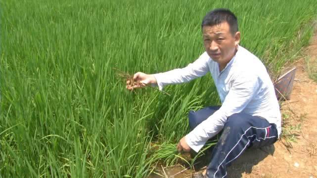 從零起步掌握直播技能，直播應(yīng)城實(shí)戰(zhàn)教程