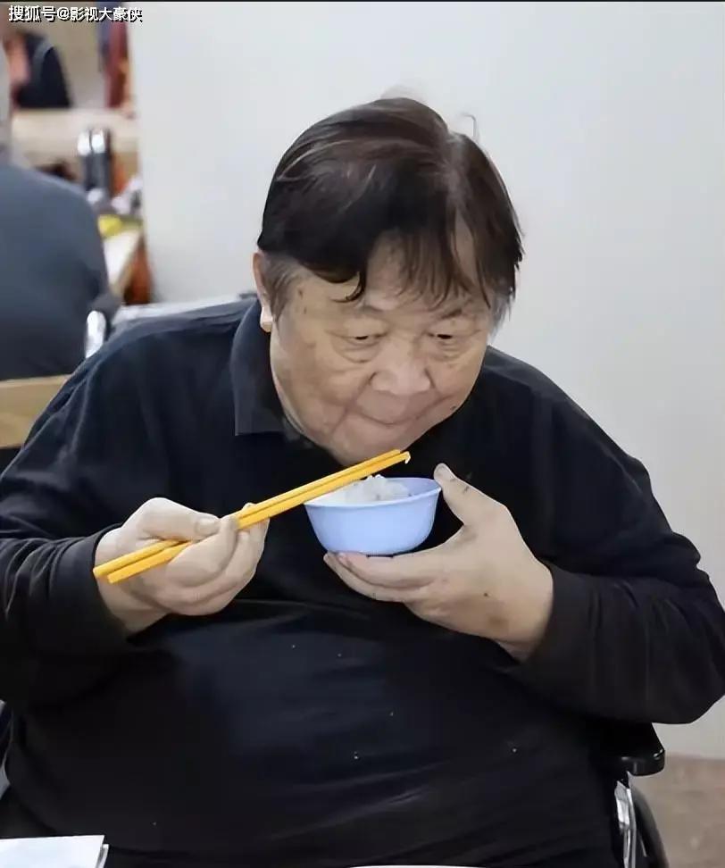 紙尿片直播，綠色之旅，尋找內(nèi)心平靜之路
