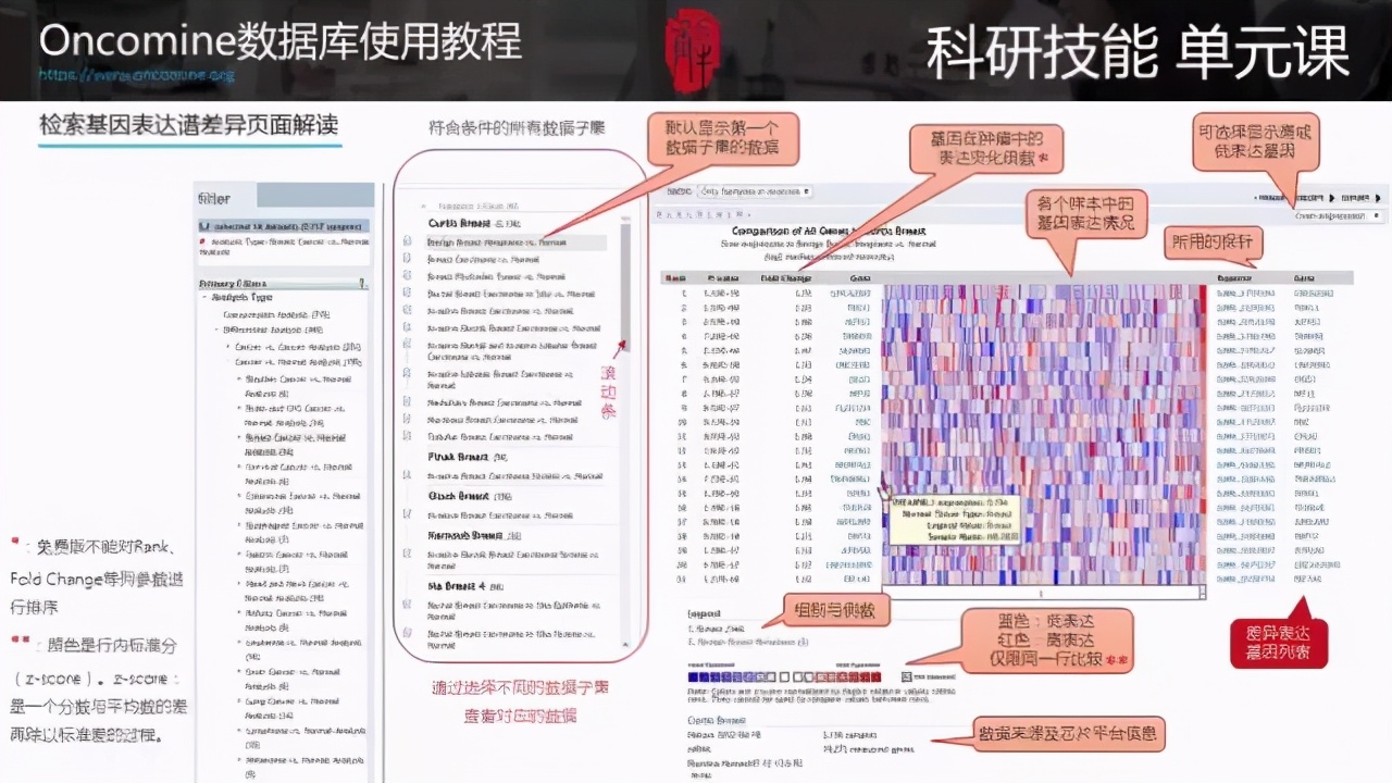 新奧門最全精準(zhǔn)資料庫(kù)，OIL68.168自助版創(chuàng)新方案制定