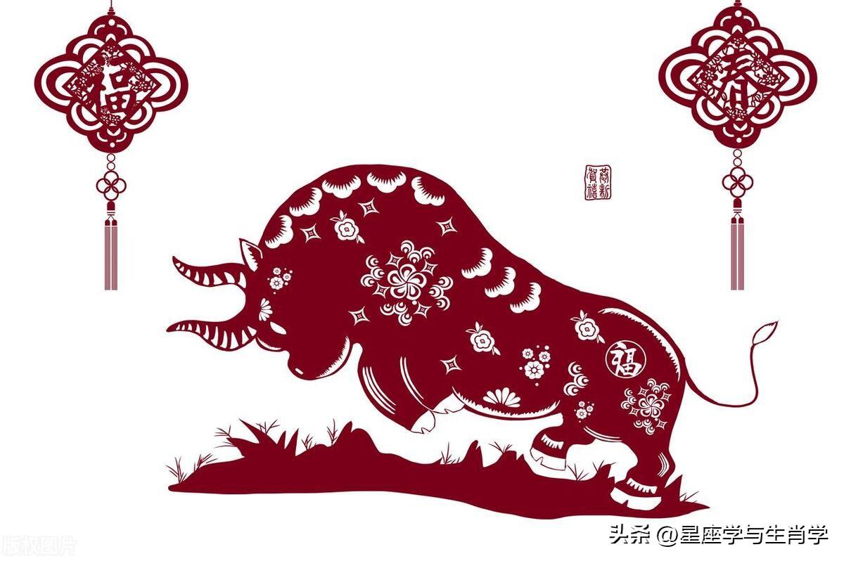 第2051頁