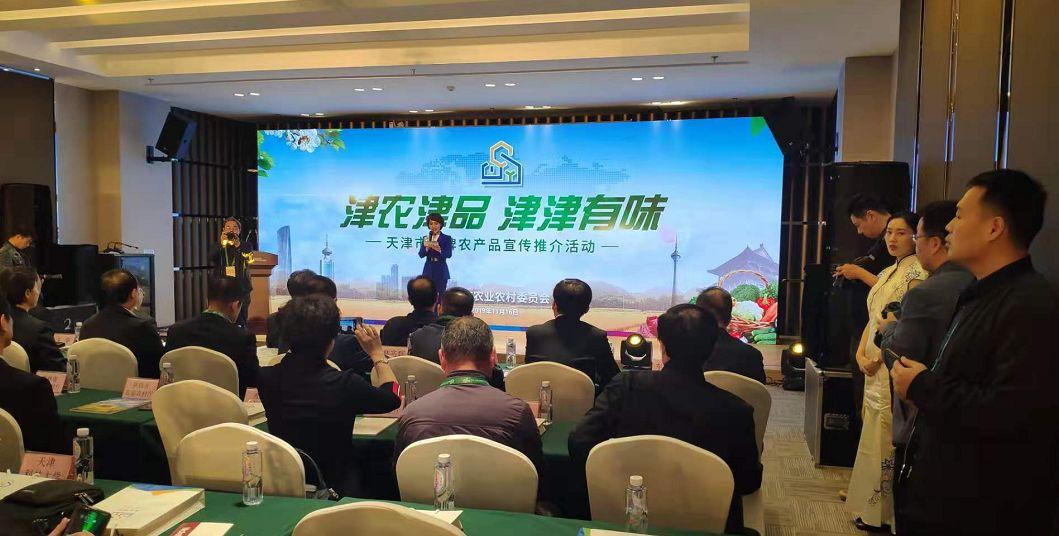 科技重塑生活，小站直播暫停，智能魅力體驗前沿風采