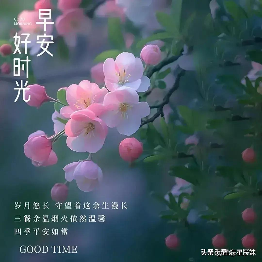 2024天天彩官方資料庫，數(shù)據(jù)驅動策略執(zhí)行HFJ8.50.60體驗版本