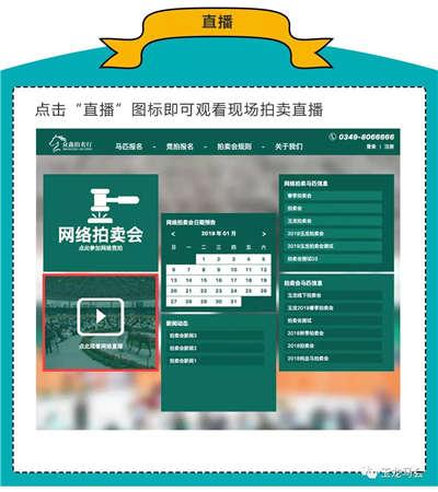 2024澳門特別馬會(huì)直播：晚間特馬解析，數(shù)據(jù)科學(xué)解讀_FJQ1.33.79速學(xué)版