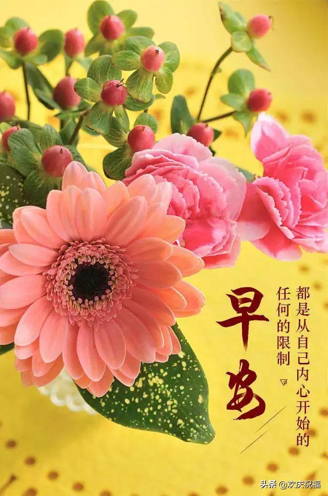 直播彈屁屁，自信成長之旅與學(xué)習(xí)之路的蛻變