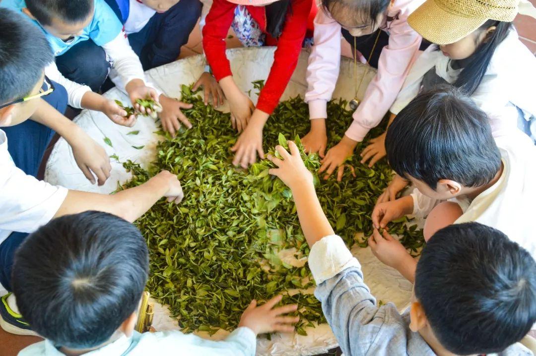 聊茶直播，一場心靈茶旅的探尋之旅