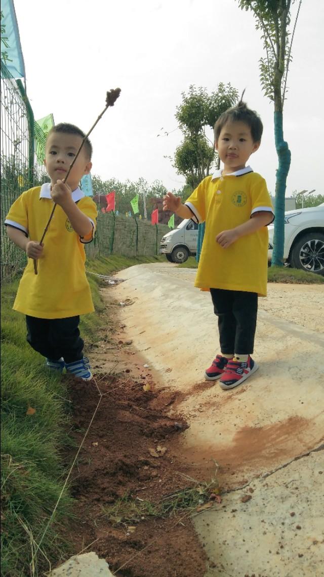 口袋直播男，日常趣事分享與友情紐帶搭建