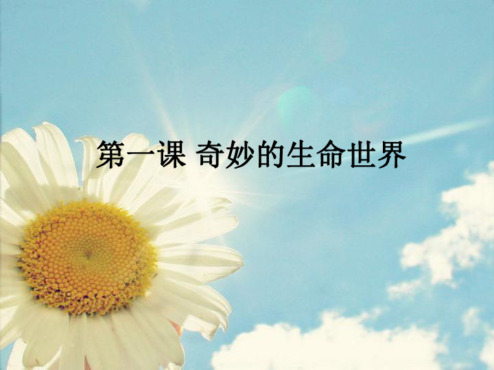 放生治病奇跡最新報道，見證生命轉(zhuǎn)變的神奇瞬間
