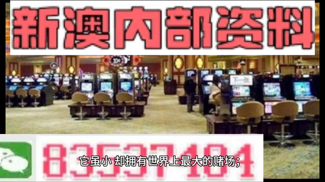 “2024新澳正版資料免費發(fā)布，精準(zhǔn)解讀_競技版RWP898.63”