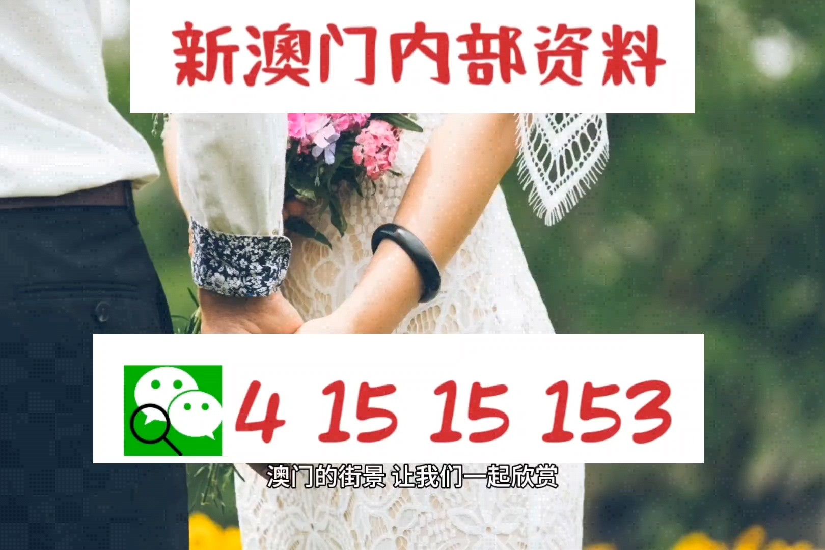 澳門每日免費資料庫192.1，決策信息精準執(zhí)行_高清版PWN347.11