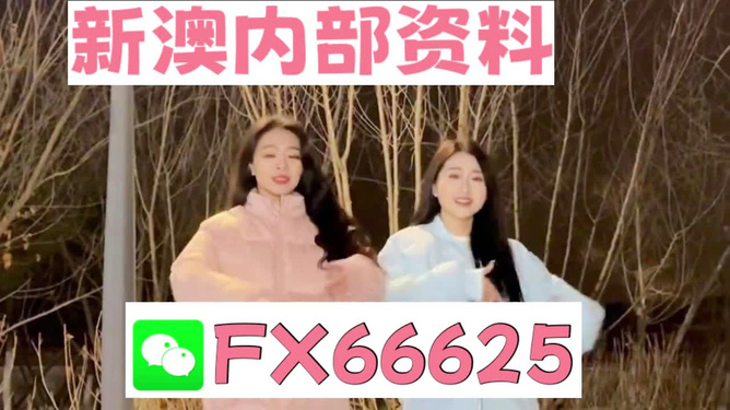 管家婆一碼一肖精準(zhǔn)解析，資料大全及迷你版GYT945.73狀況分析