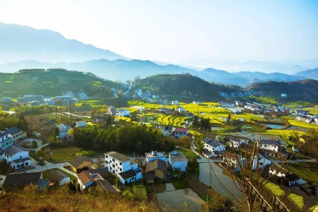 管家婆精準(zhǔn)一碼一肖，安全策略評估方案動(dòng)態(tài)版UWJ487.85