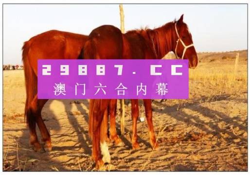 澳門每日彩開獎(jiǎng)精準(zhǔn)龍門客棧，熱門圖庫解析_簡易版JVB592.23