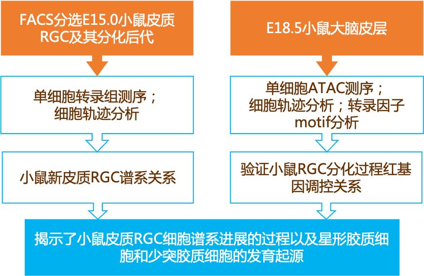 2024正版資料免費寶典解讀：安全解析與ALC966超清版功能一覽