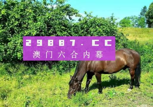 澳門一肖一碼一必中一肖同舟前進(jìn),快速解答方案實踐_JNN85.640拍照版