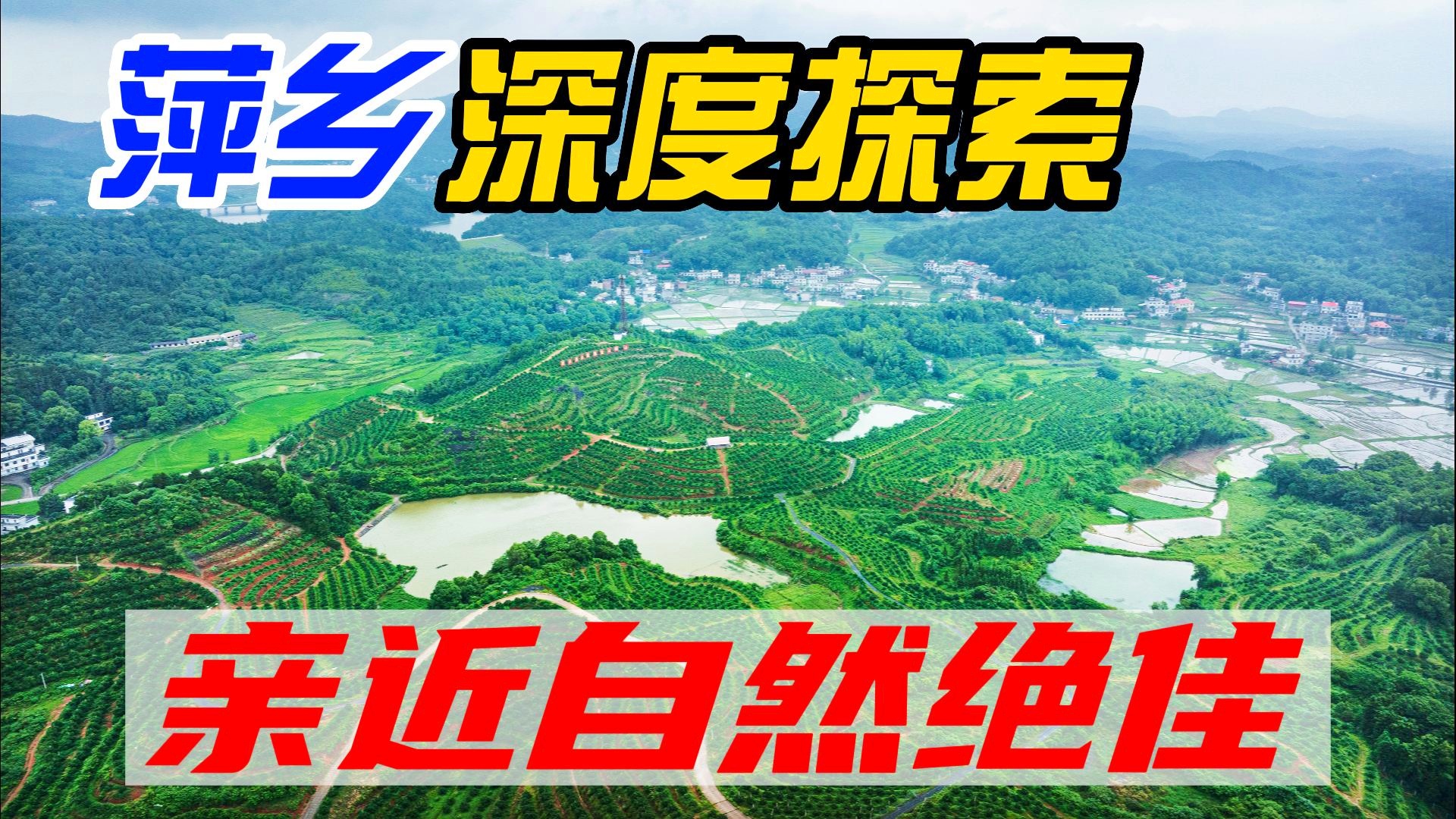 心猿意馬 第3頁(yè)