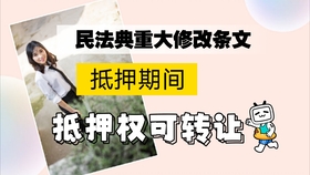 逗拍最新破解版相關(guān)法律問題及推薦特色小店，尊重知識(shí)產(chǎn)權(quán)是每個(gè)人的責(zé)任