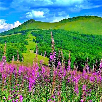 時(shí)尚潮流與個(gè)人品牌塑造，最新頭像揭秘新視角