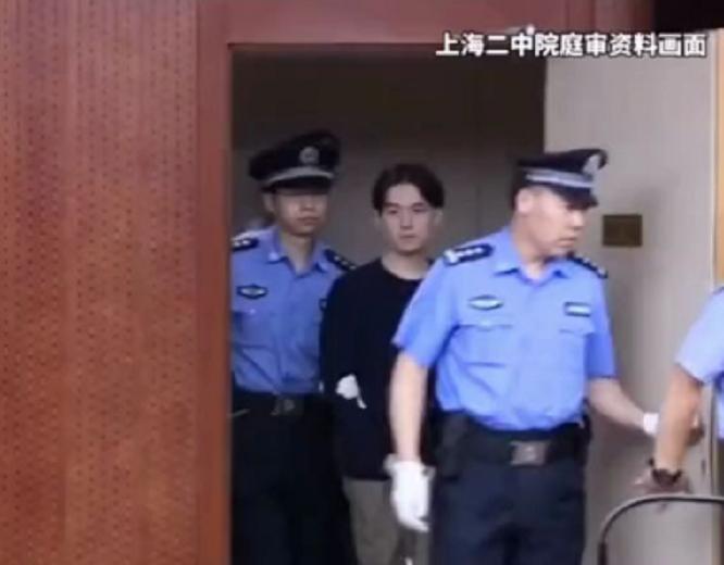 上海殺妻案深度解析與案例探究，最新進(jìn)展報(bào)道