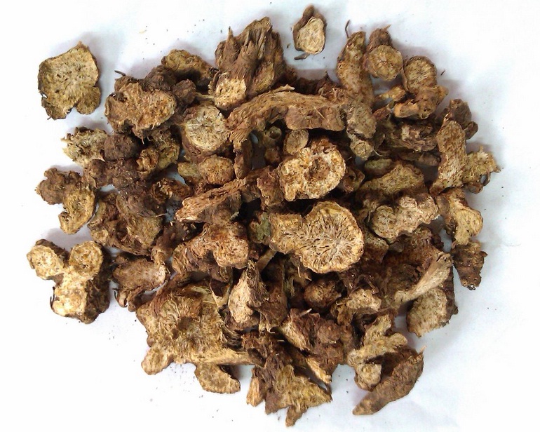 安國蒼術(shù)最新價格,安國蒼術(shù)最新價格，一場自然美景的旅行探索