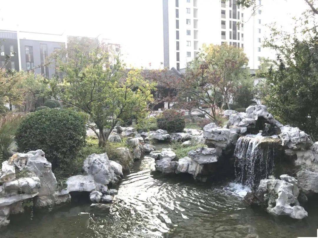 東方園林最新動(dòng)態(tài)揭秘，綠意盎然背后的溫情故事