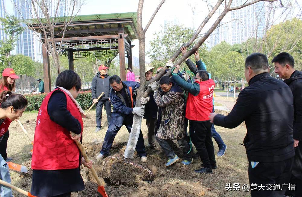 漢南普工最新招聘,漢南普工最新招聘——加入我們的團隊，共創(chuàng)輝煌