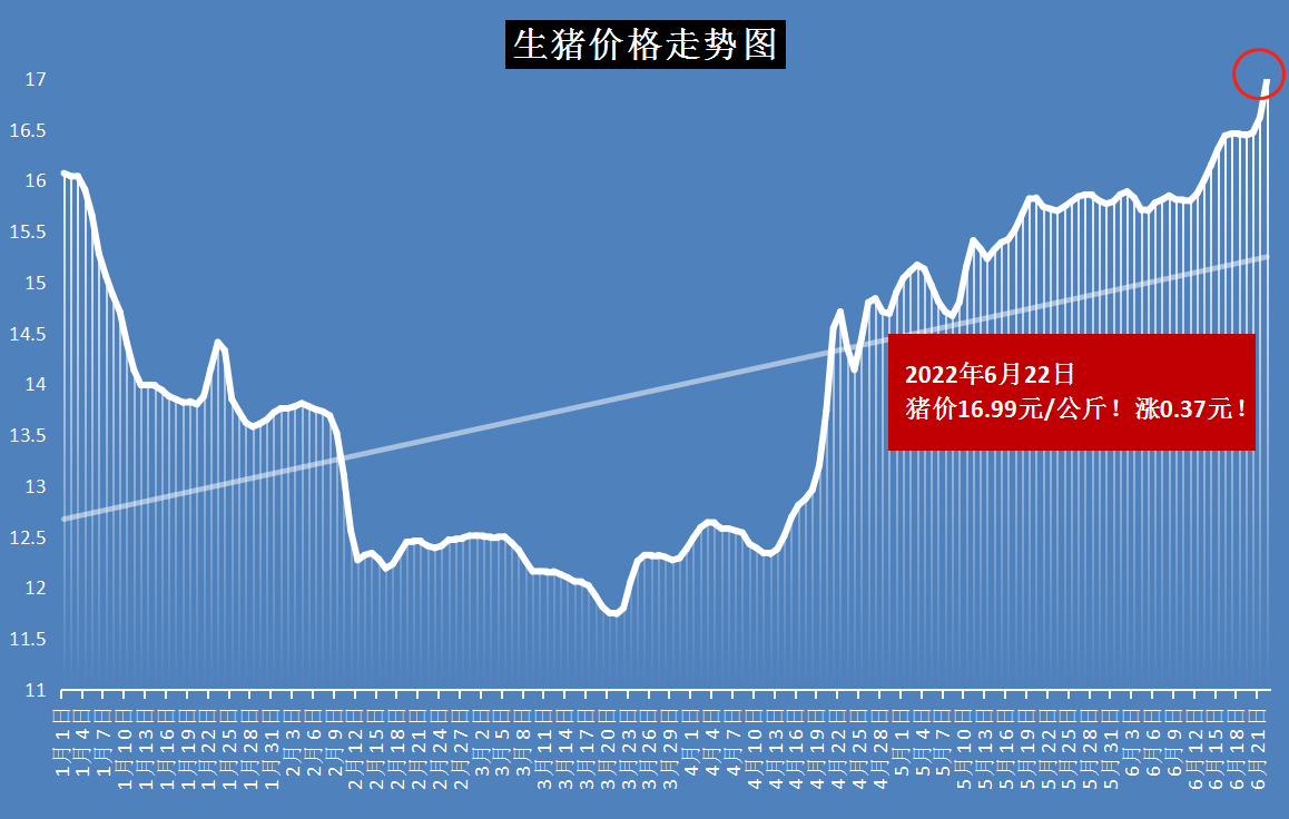 徐大偉 第3頁