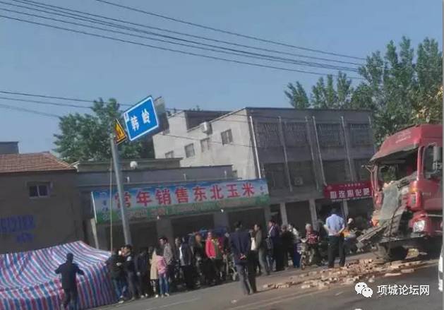 項城二高雞最新電話，探尋真實與迷霧的較量