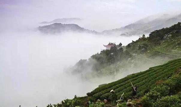 火山最新動態(tài)，活躍地標(biāo)與時代印記的融合