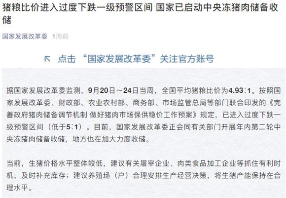 最新小麥期貨行情走勢分析與解讀，全方位指南（初學(xué)者與進(jìn)階用戶適用）