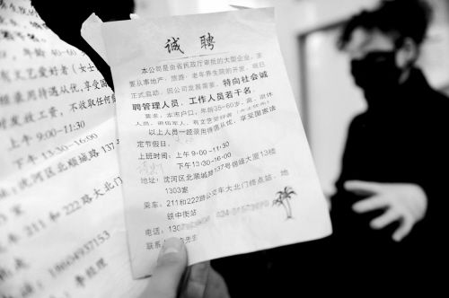 最新墓地看守員招聘，與自然美景邂逅，追尋內(nèi)心平和的旅程