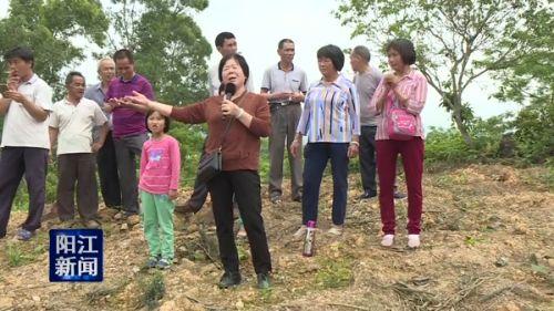 春灣鎮(zhèn)最新樓盤，新時(shí)代城鎮(zhèn)居住新選擇的探索