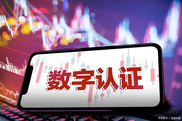 數(shù)字認證最新動態(tài)，行業(yè)現(xiàn)狀、爭議與前景展望