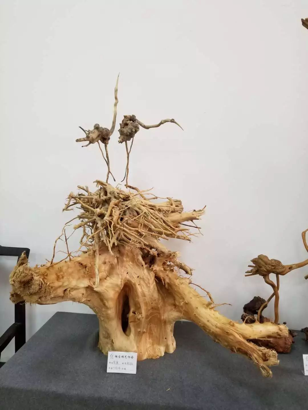 最新根藝作品展,最新根藝作品展，小巷深處的藝術(shù)秘境