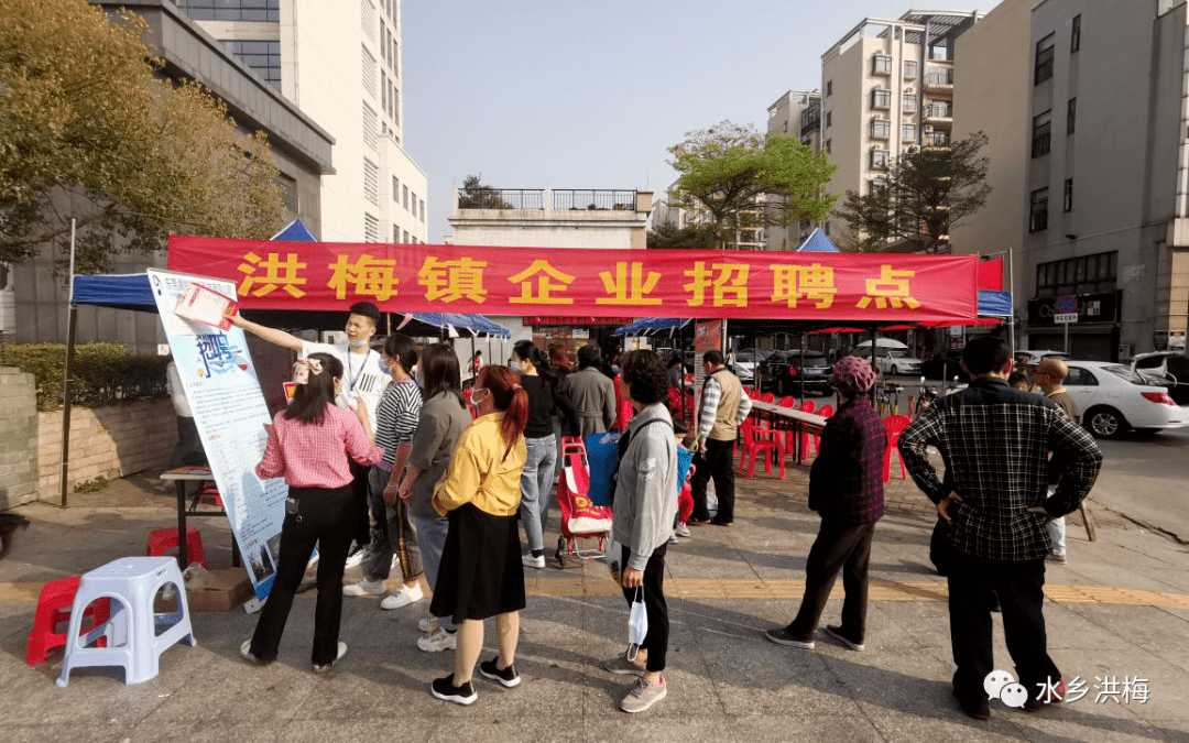 洪瀨最新招聘論壇，溫暖日常的招聘交流之地