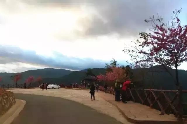 化州市最新領(lǐng)導(dǎo)班子，自然美景的探索之旅