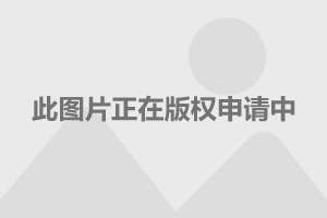 鞏俐最新照片,鞏俐最新照片，時代巨星的光芒