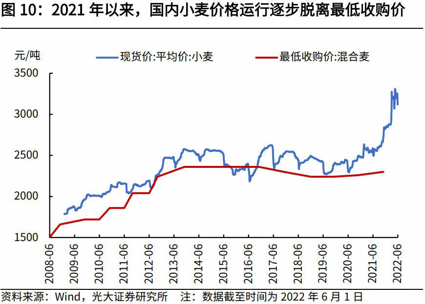 科技引領(lǐng)未來，小麥市場最新行情分析，洞悉小麥價格動態(tài)