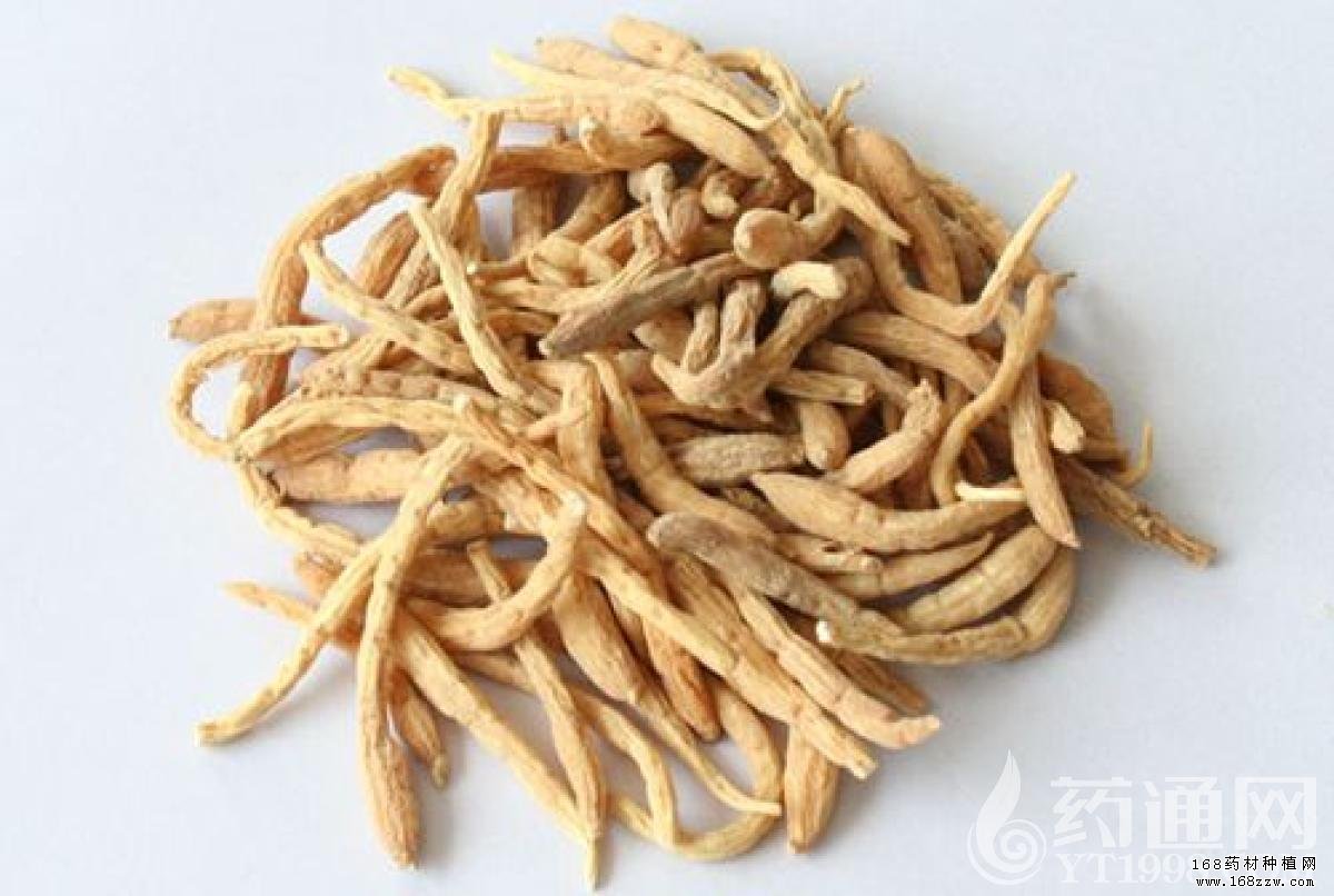 新榮區(qū) 第2頁