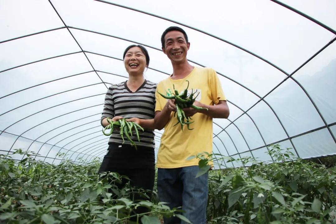 致富經(jīng)最新視頻,致富經(jīng)最新視頻，探索成功的秘訣與財富之路