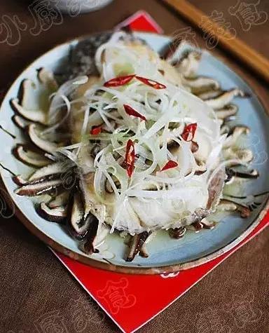 最新蒸菜大全，美食的藝術(shù)與文化完美融合之道