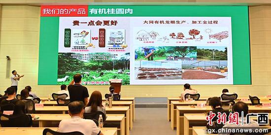 北流新聞最新動態(tài)，自然美景探索之旅，追尋內(nèi)心平和與喜悅