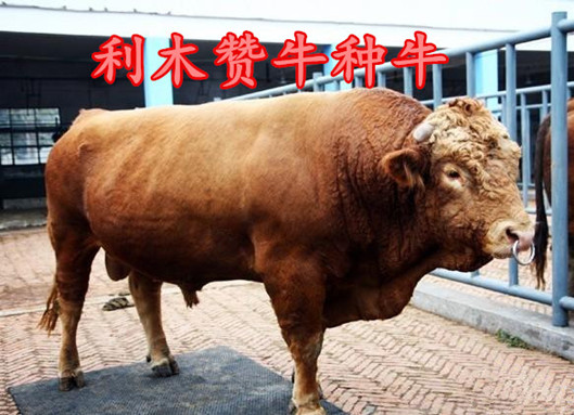許雅媛 第2頁