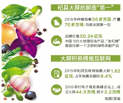 大蒜最新論壇，引領(lǐng)科技潮流，重塑大蒜產(chǎn)業(yè)未來之路