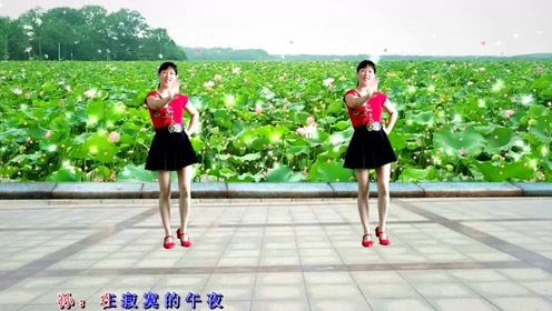 艷艷最新廣場(chǎng)舞，舞動(dòng)魅力人生的韻律節(jié)拍！