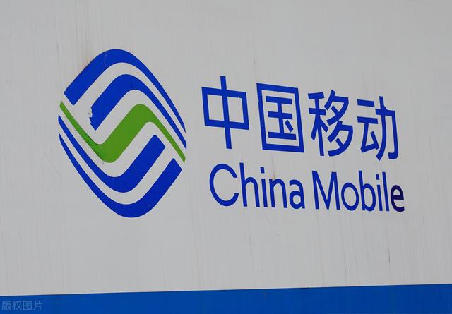 最新免流論壇，時代浪潮下的網(wǎng)絡(luò)變革交流陣地