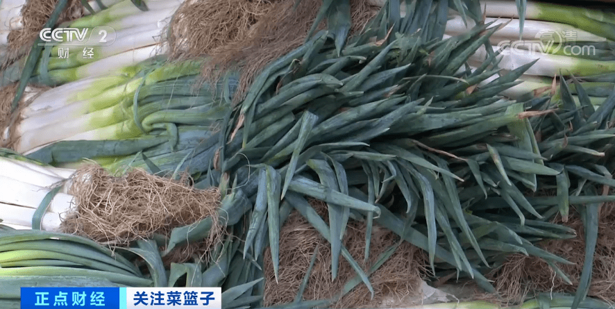 河北大蔥最新價(jià)格走勢(shì)及分析，市場(chǎng)趨勢(shì)與影響因素探討